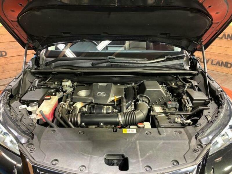 NX