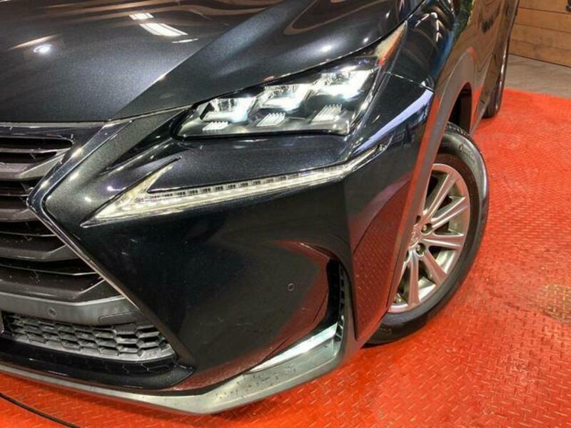 NX