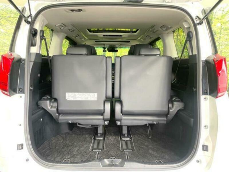 ALPHARD-10