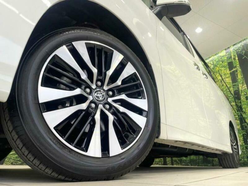 ALPHARD-13