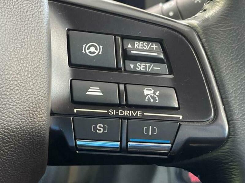 LEVORG-5