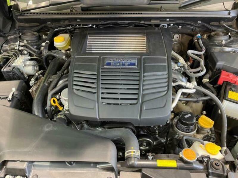 LEVORG-17