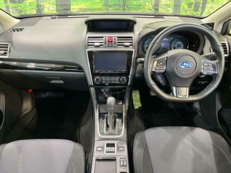 LEVORG-1