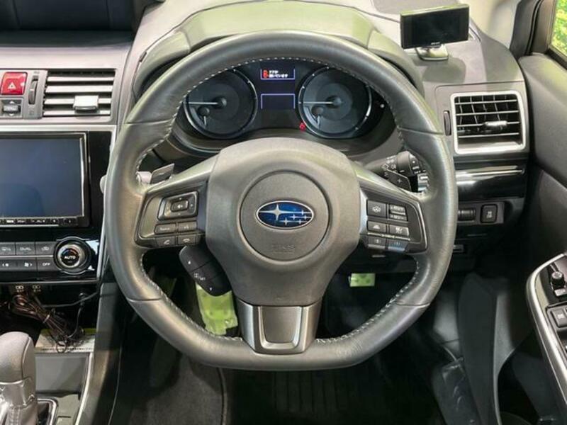 LEVORG-10