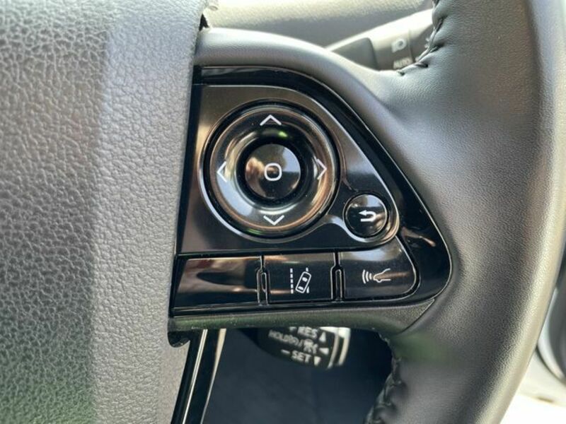 PRIUS-14