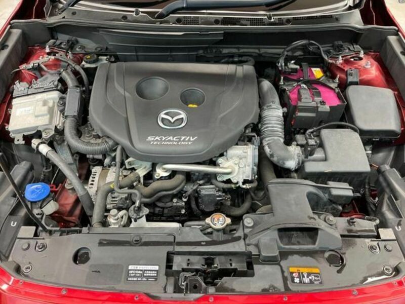 CX-3