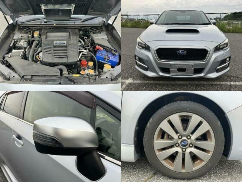 LEVORG