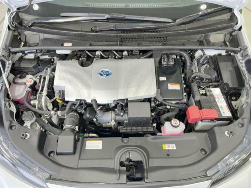 PRIUS-17
