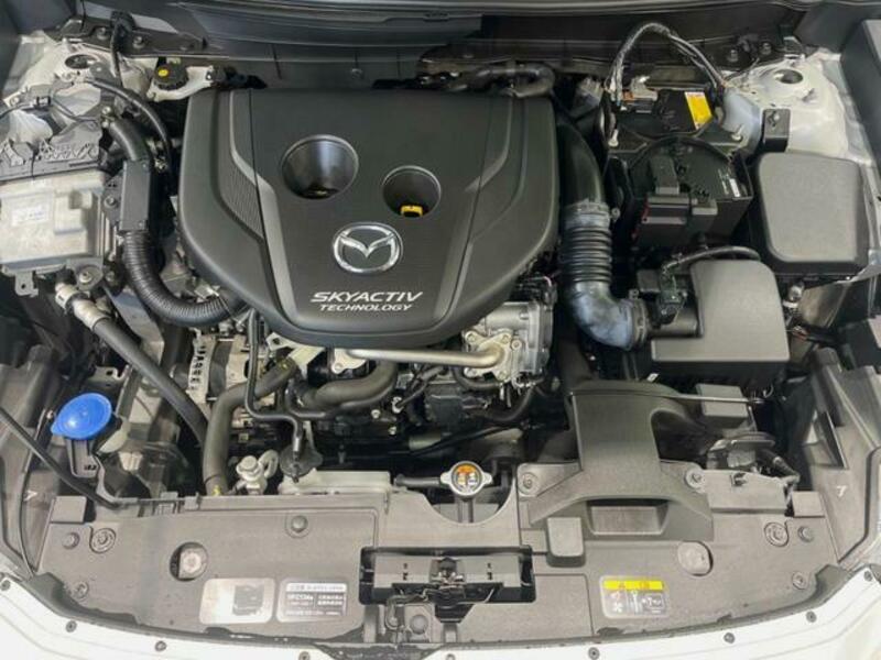 CX-3-17