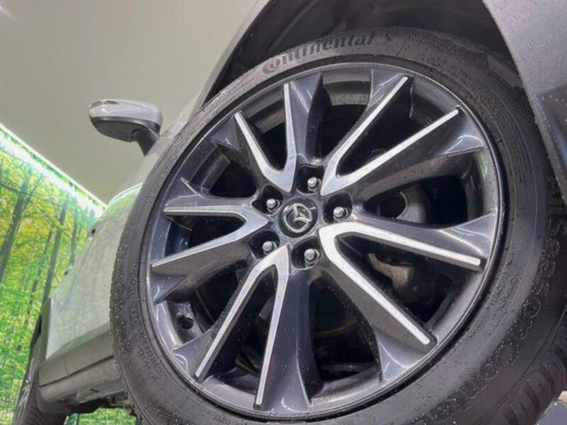 CX-3-11