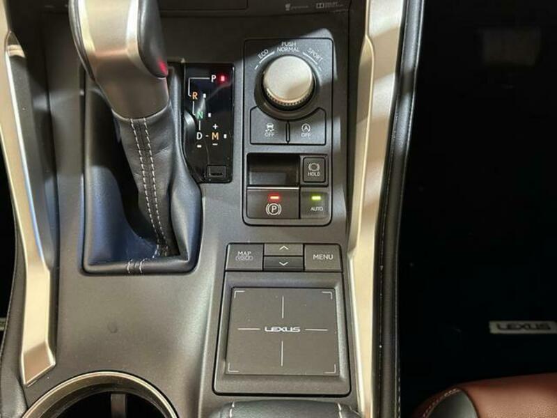 NX