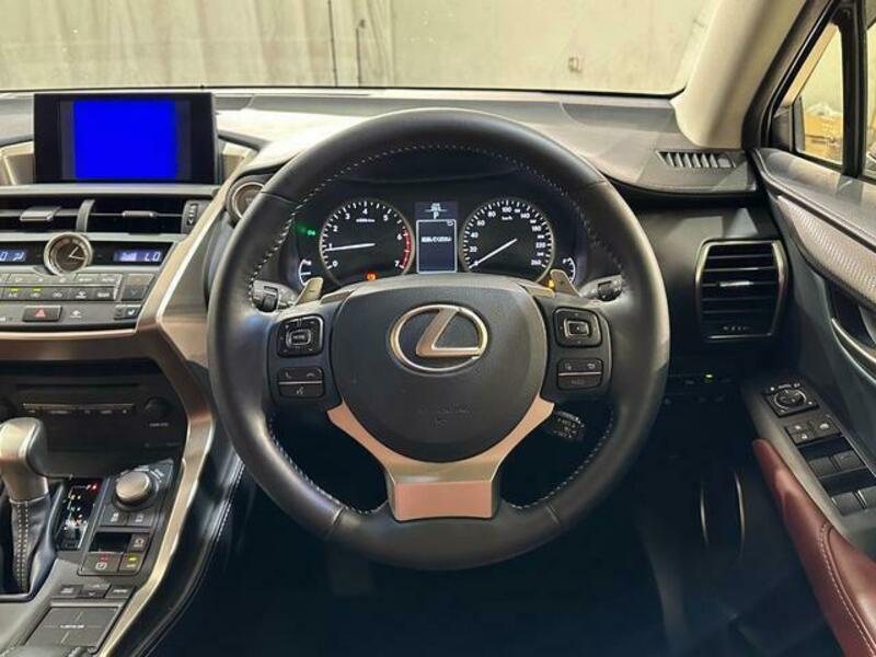 NX