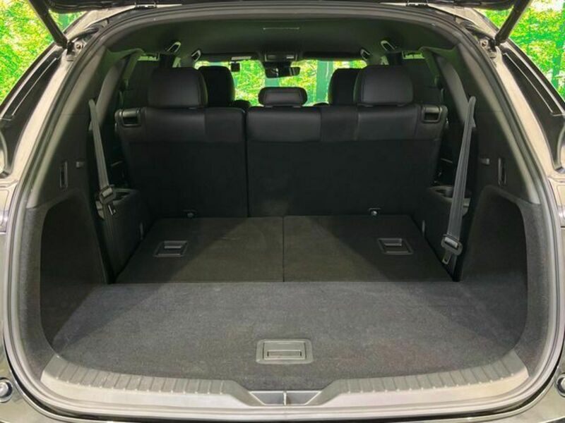 CX-8-11