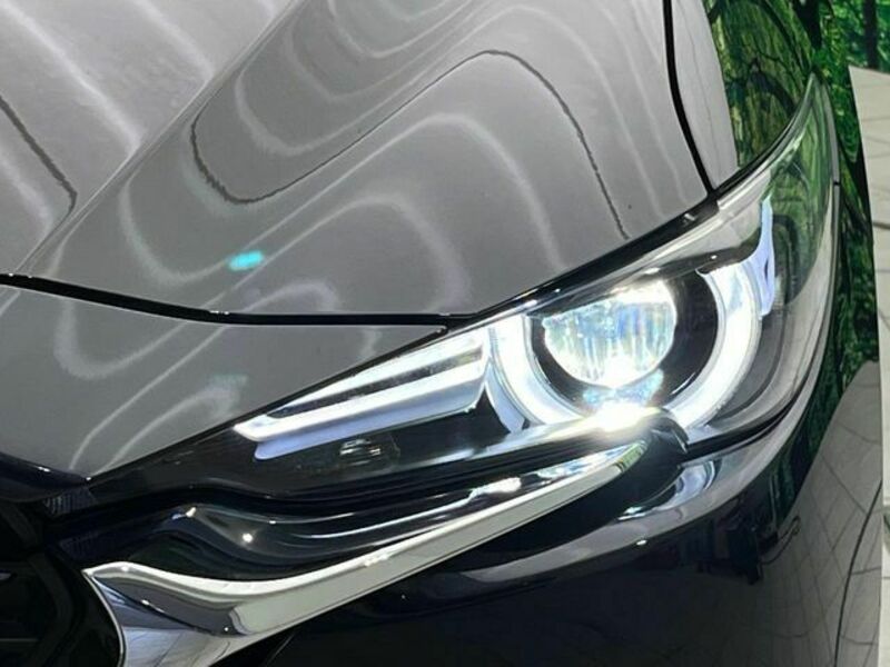 CX-8-13