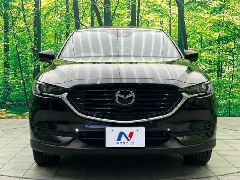 CX-8-15