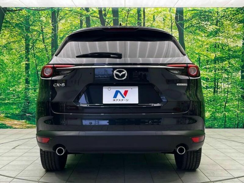 CX-8-16