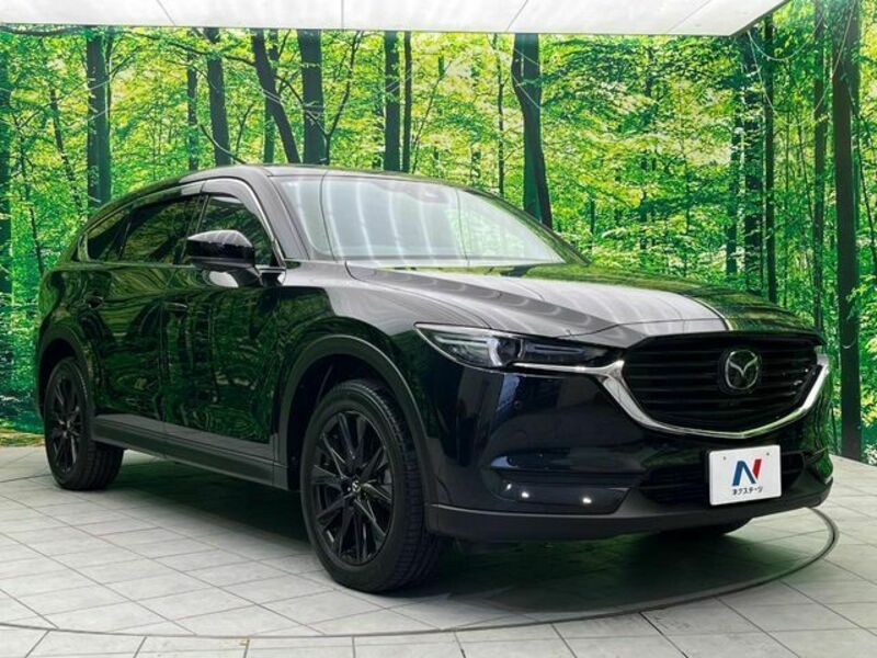 CX-8-17