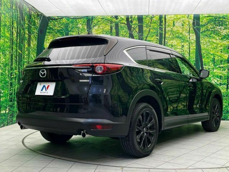 CX-8-18