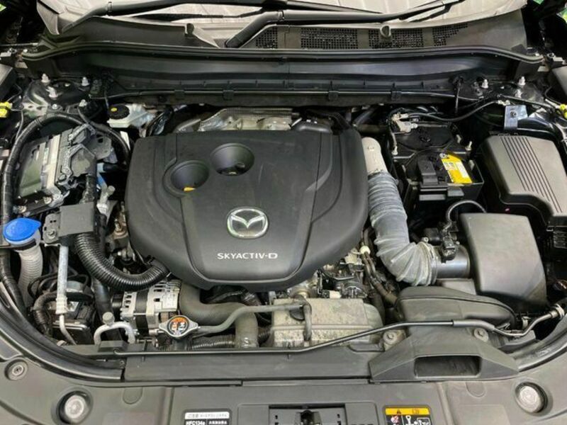 CX-8-19