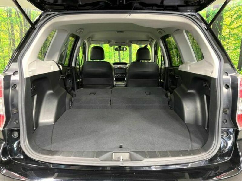 FORESTER-10