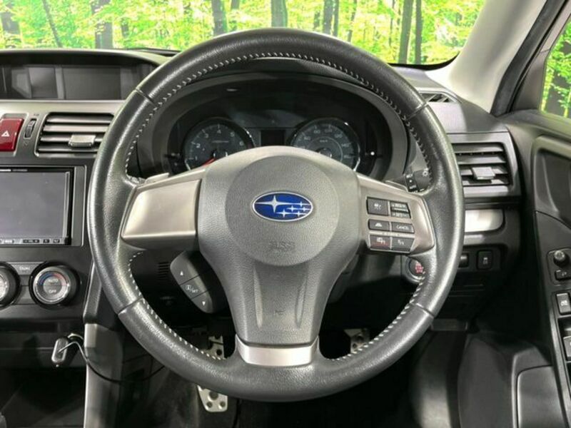 FORESTER-11