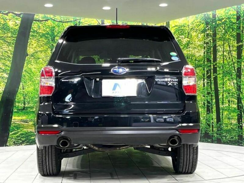FORESTER-15