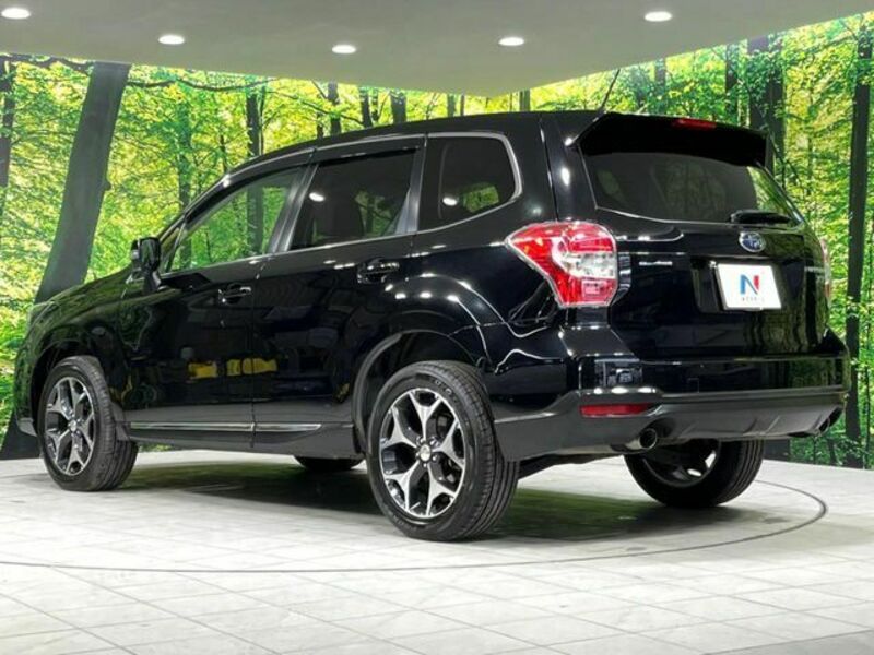FORESTER-17