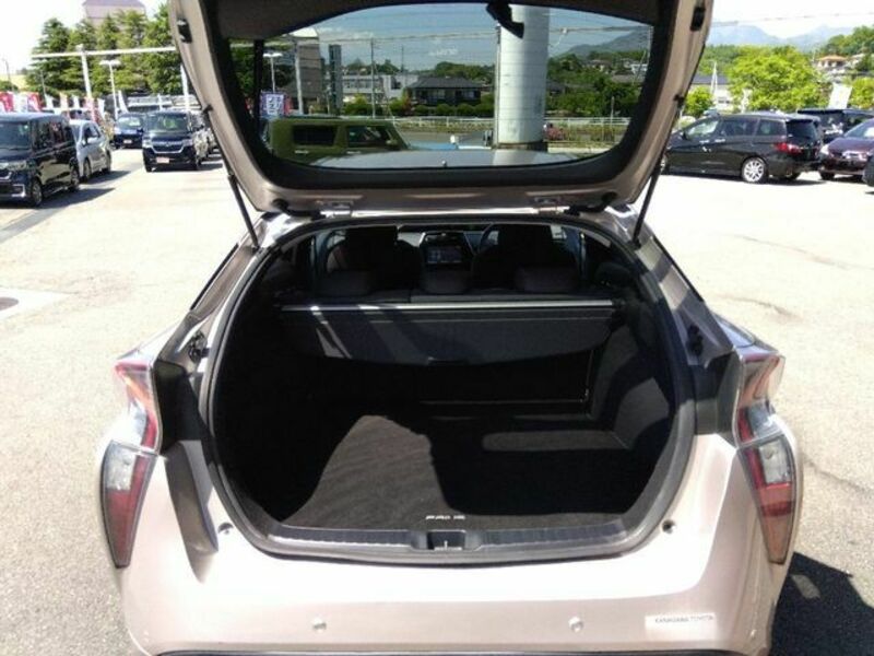 PRIUS-10