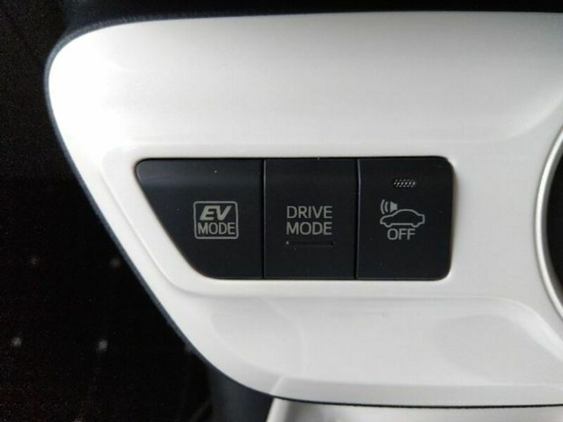PRIUS-16