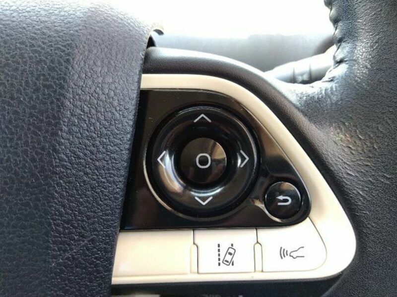 PRIUS-21