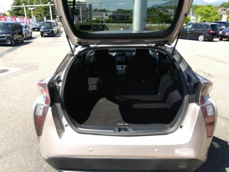 PRIUS-29