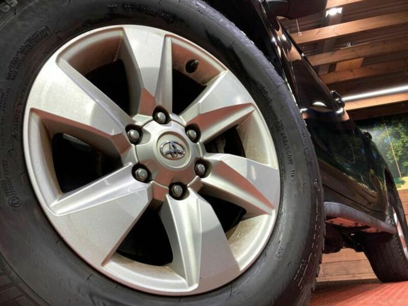 LAND CRUISER PRADO-13