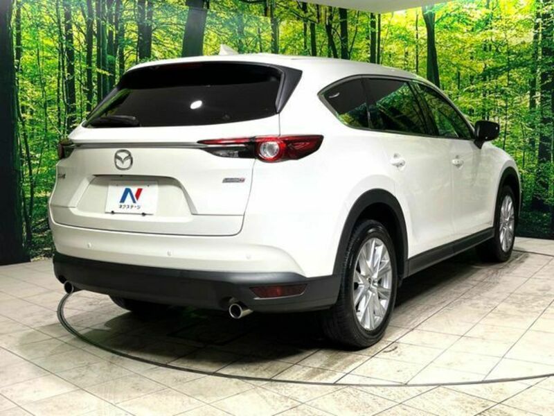 CX-8