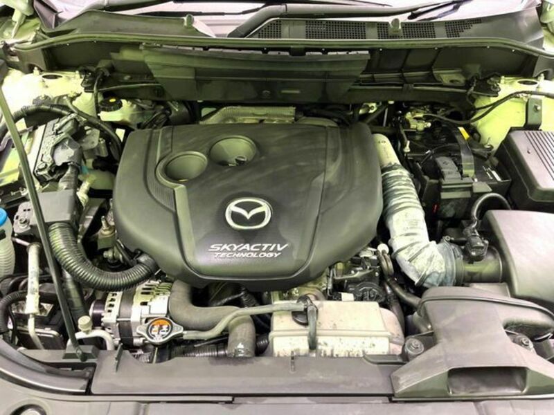 CX-8