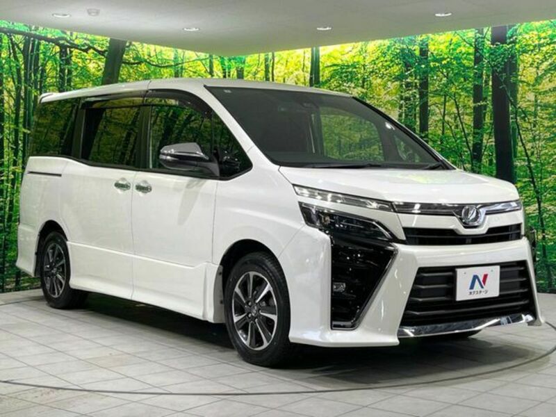 VOXY-17