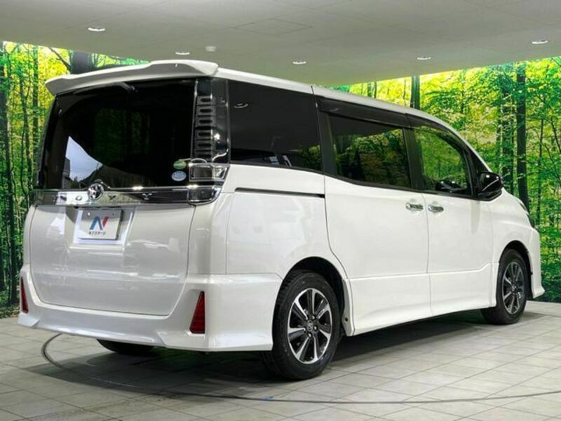 VOXY-18