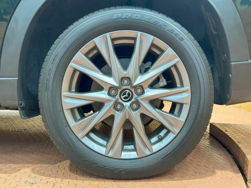 CX-8