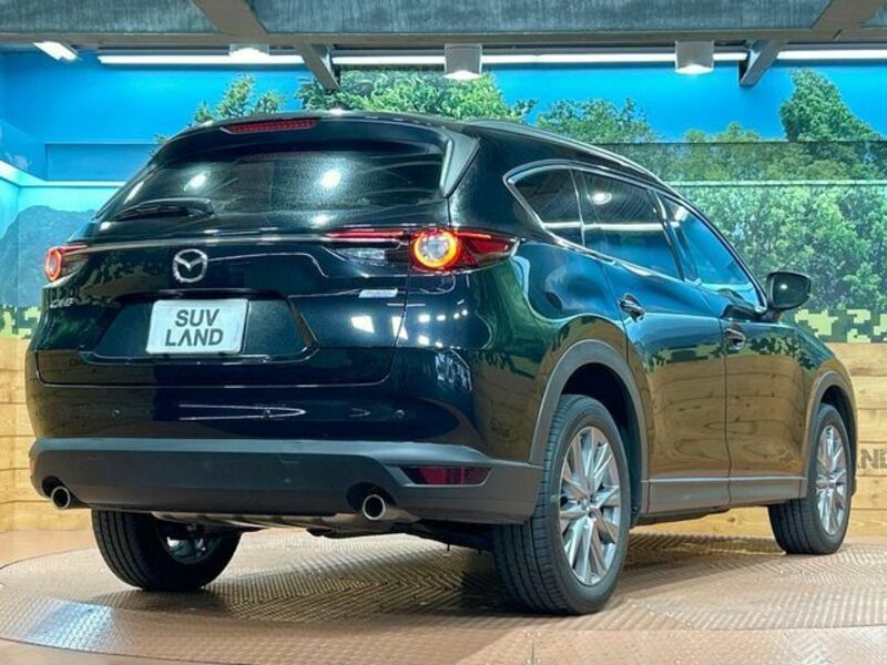 CX-8