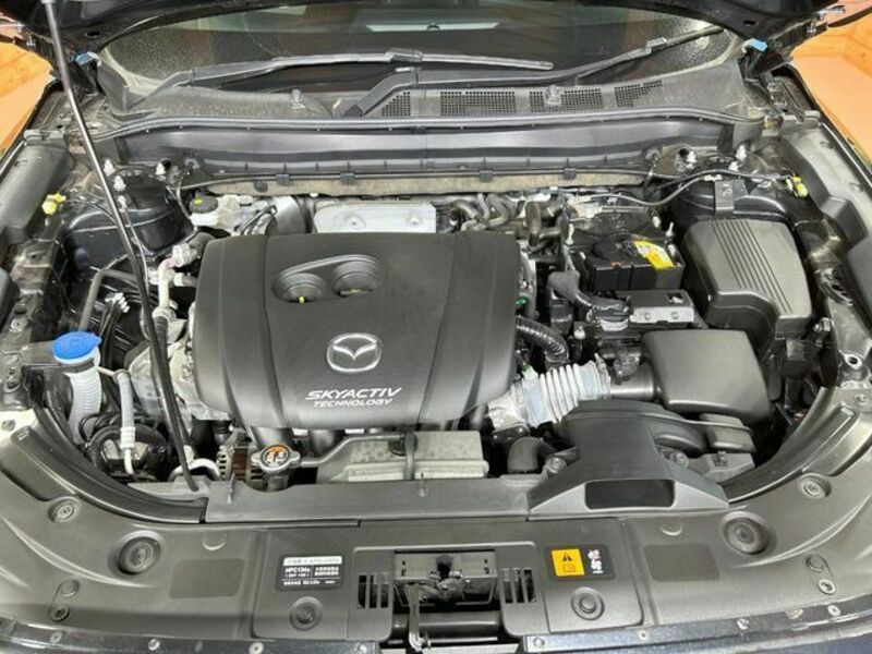 CX-8
