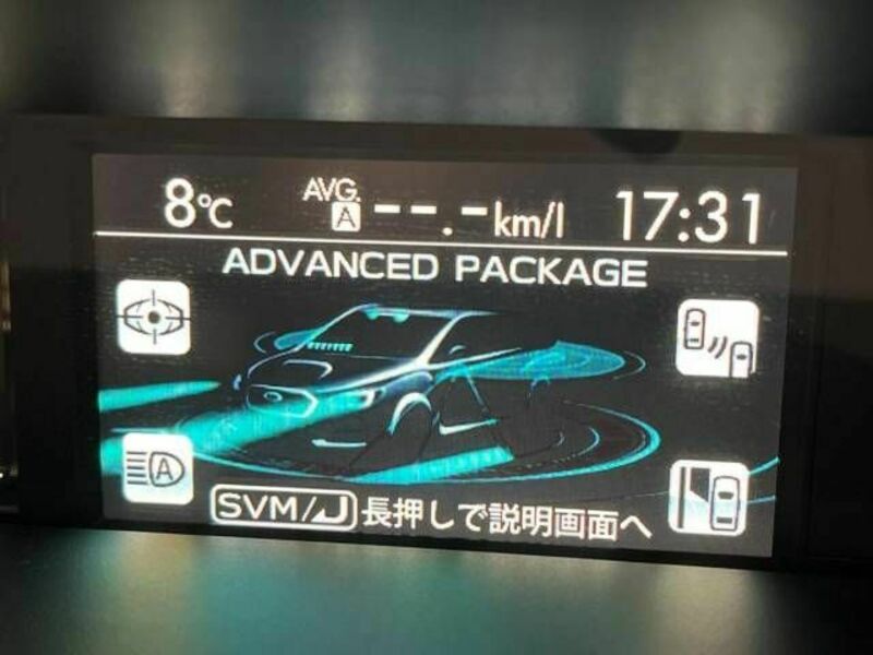 LEVORG-2
