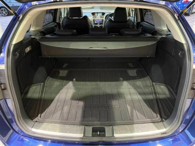 LEVORG-11