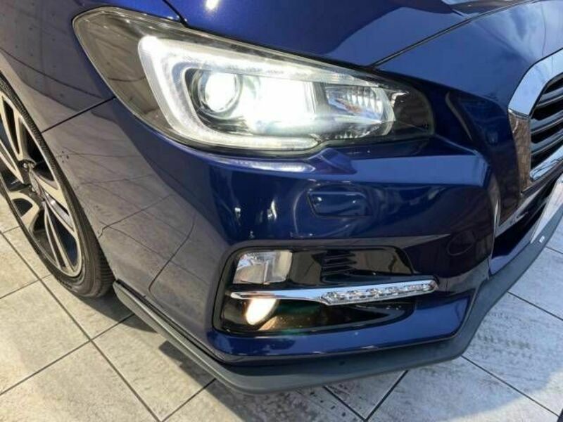 LEVORG-13