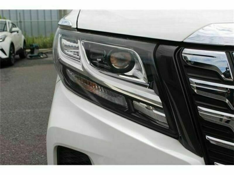 ALPHARD-10