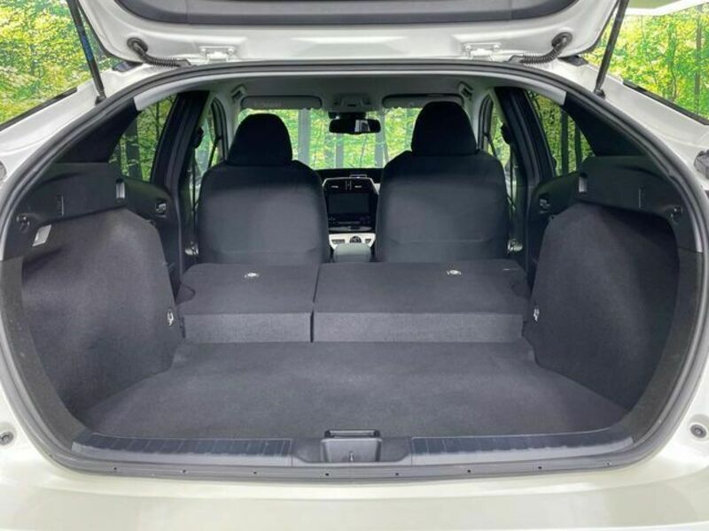 PRIUS-9