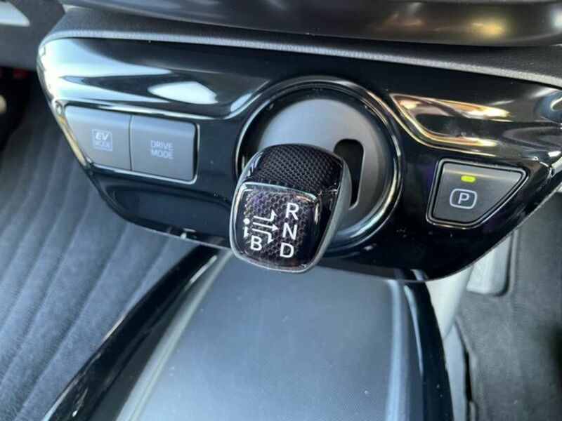 PRIUS-15