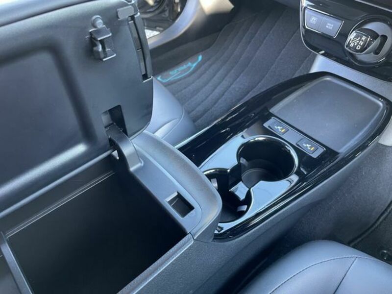 PRIUS-16