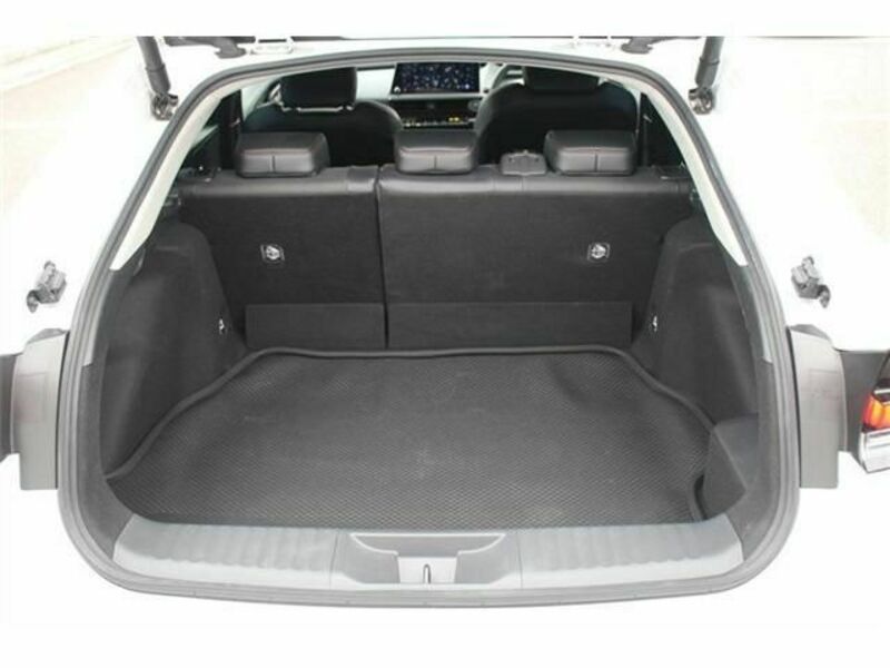 PRIUS-18