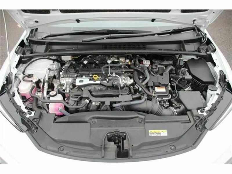 PRIUS-19