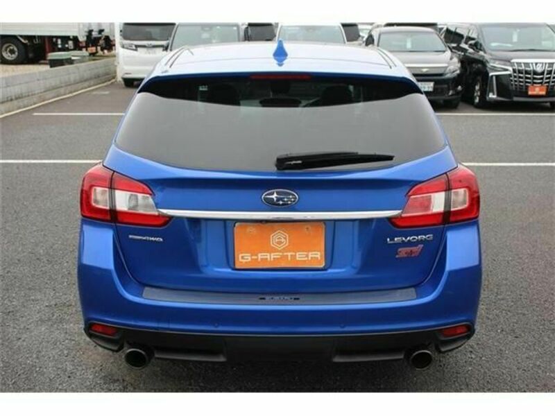LEVORG-9