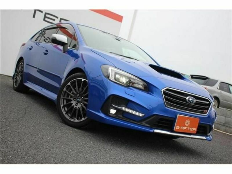 LEVORG-11